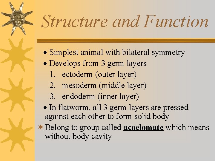 Structure and Function · Simplest animal with bilateral symmetry · Develops from 3 germ
