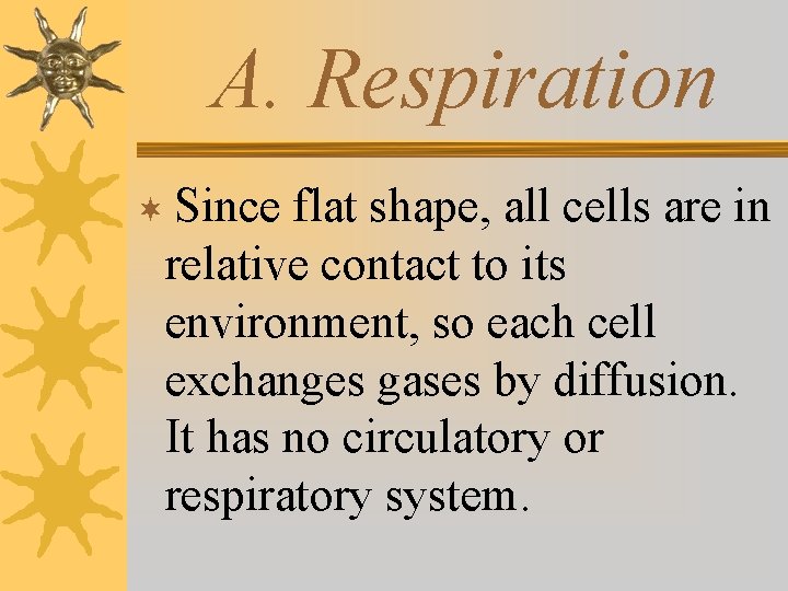 A. Respiration ¬ Since flat shape, all cells are in relative contact to its
