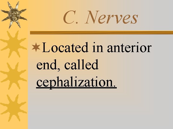 C. Nerves ¬Located in anterior end, called cephalization. 