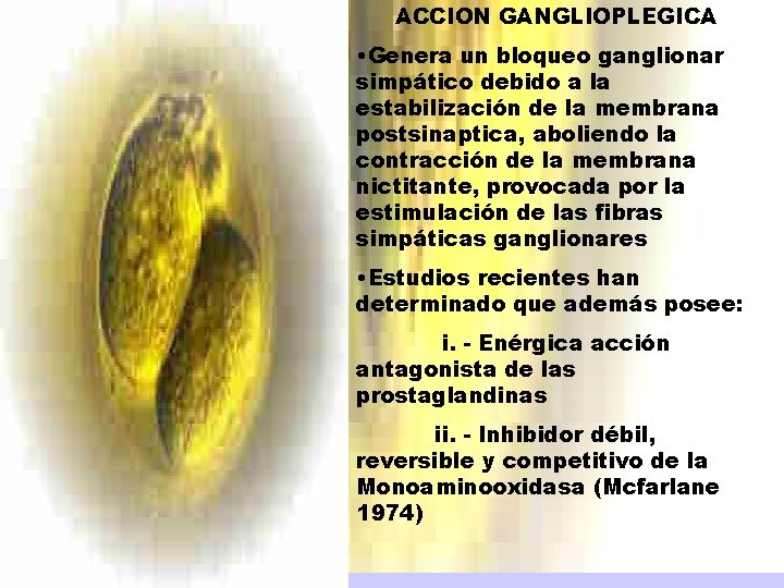 ACCION GANGLIOPLEGICA • Genera un bloqueo ganglionar simpático debido a la estabilización de la