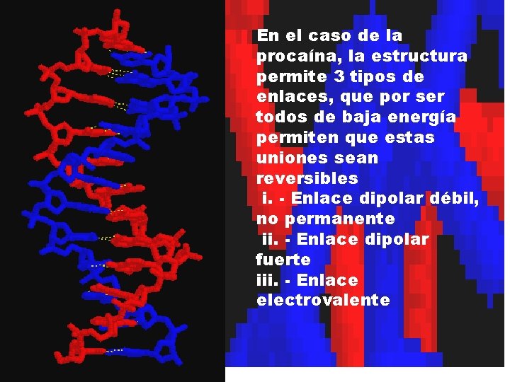 En el caso de la procaína, la estructura permite 3 tipos de enlaces, que