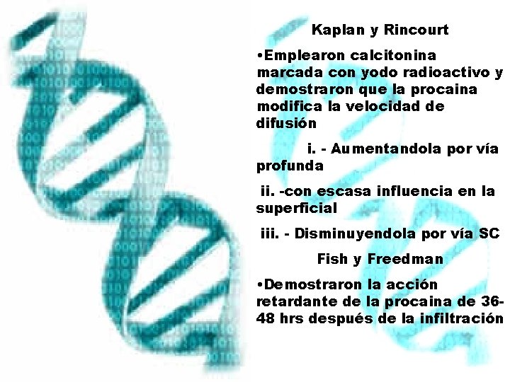 Kaplan y Rincourt • Emplearon calcitonina marcada con yodo radioactivo y demostraron que la