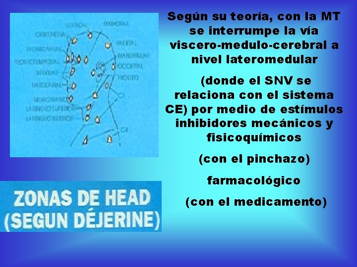 Según su teoría, con la MT se interrumpe la vía viscero-medulo-cerebral a nivel lateromedular