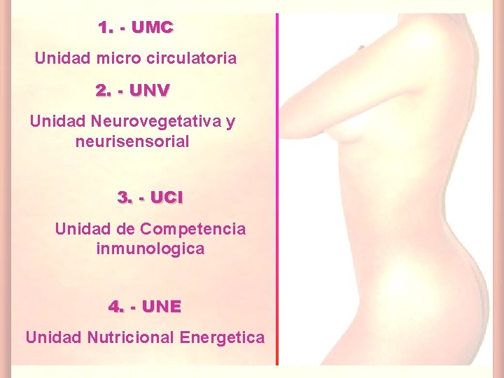 1. - UMC Unidad micro circulatoria 2. - UNV Unidad Neurovegetativa y neurisensorial 3.