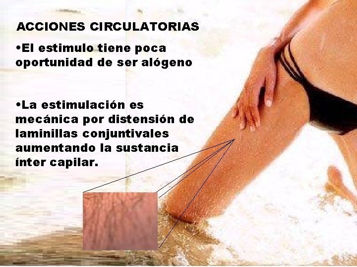 ACCIONES CIRCULATORIAS • El estimulo tiene poca oportunidad de ser alógeno • La estimulación ACCIONES CIRCULATORIAS • El estimulo tiene poca oportunidad de ser alógeno • La estimulación
