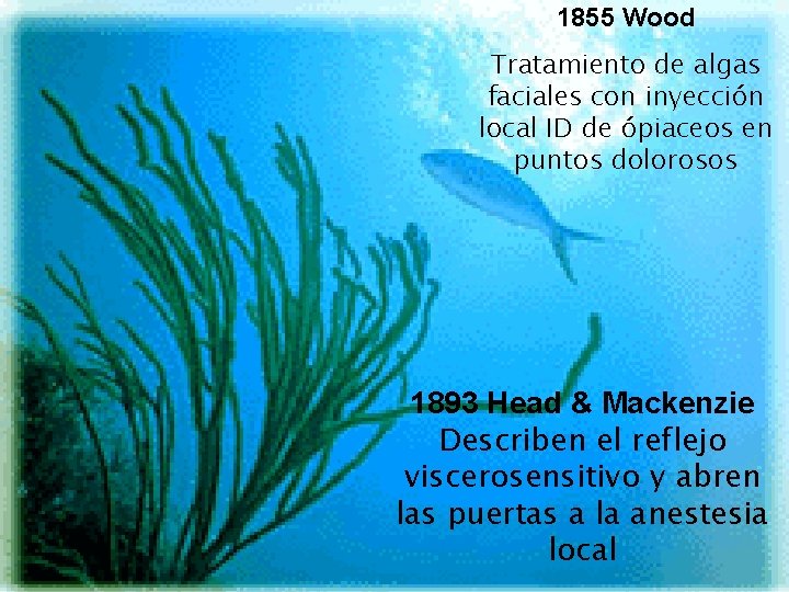 1855 Wood Tratamiento de algas faciales con inyección local ID de ópiaceos en puntos