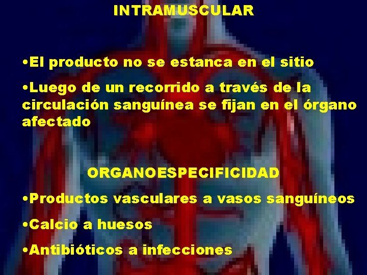 INTRAMUSCULAR • El producto no se estanca en el sitio • Luego de un