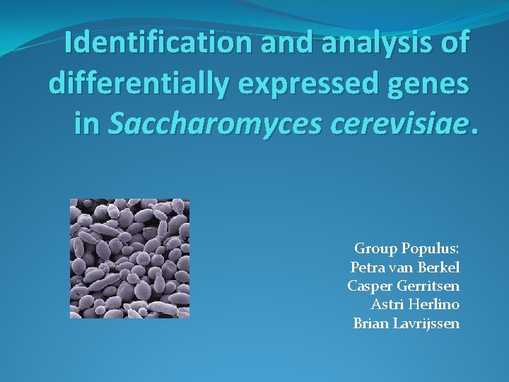 Identification and analysis of differentially expressed genes in Saccharomyces cerevisiae. Group Populus: Petra van