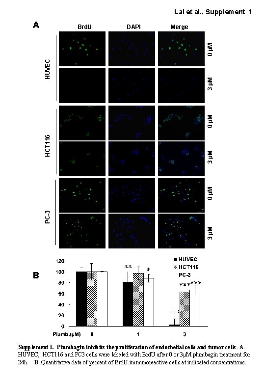 Lai et al. , Supplement 1 A DAPI Merge 3 µM PC-3 0 µM