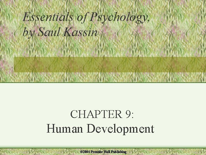 Essentials of Psychology, by Saul Kassin CHAPTER 9: Human Development © 2004 Prentice Hall