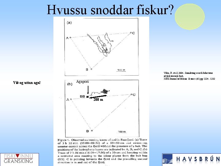 Hvussu snoddar fiskur? Við og uttan agn! Vabø, R. et al, 2004. Simulating search