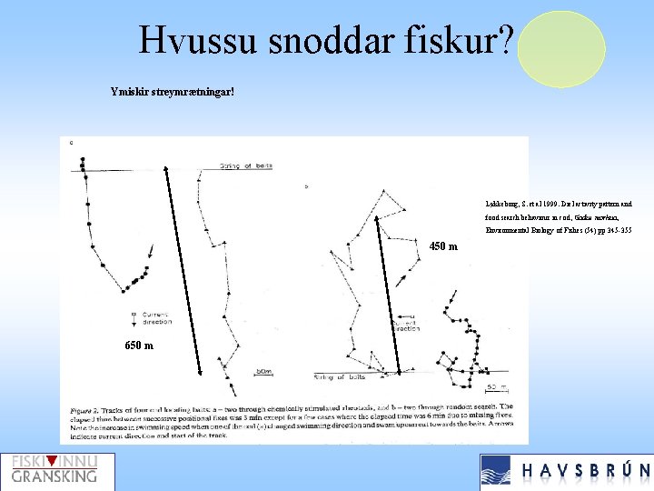 Hvussu snoddar fiskur? Ymiskir streymrætningar! Løkkeborg, S. et al 1999. Diel activity pattern and