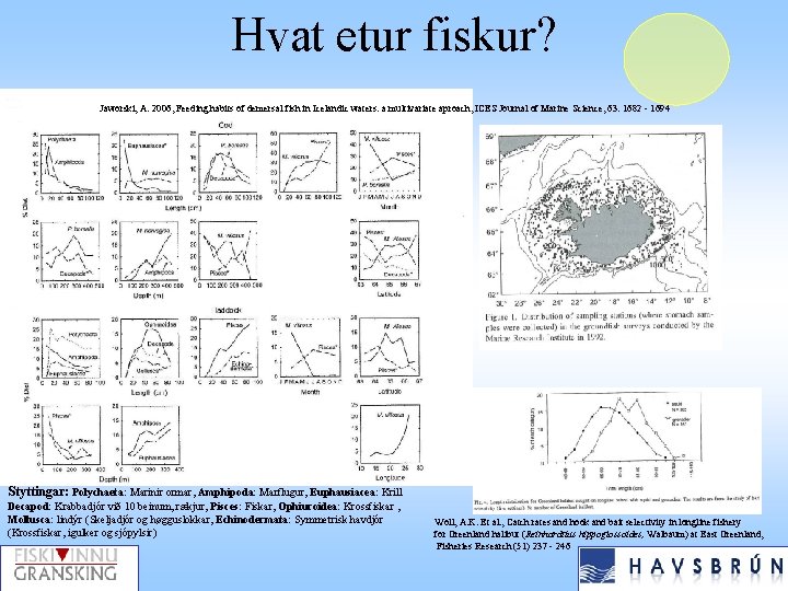 Hvat etur fiskur? Jaworski, A. 2006, Feeding habits of demersal fish in Icelandic waters: