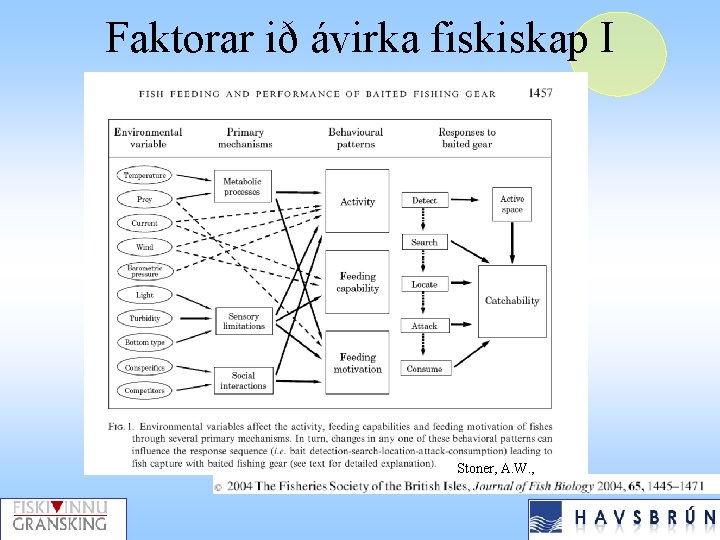 Faktorar ið ávirka fiskiskap I Stoner, A. W. , 