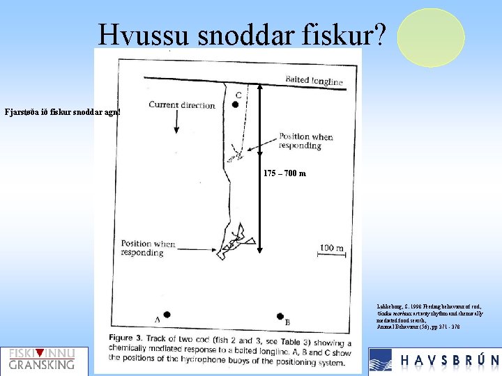 Hvussu snoddar fiskur? Fjarstøða ið fiskur snoddar agn! 175 – 700 m Løkkeborg, S.