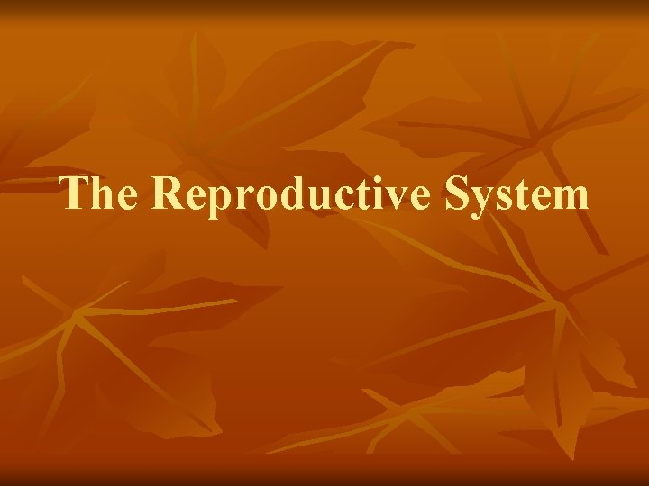 The Reproductive System 