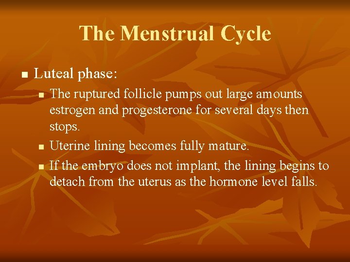 The Menstrual Cycle n Luteal phase: n n n The ruptured follicle pumps out