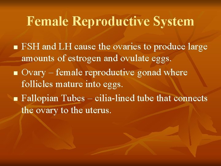 Female Reproductive System n n n FSH and LH cause the ovaries to produce