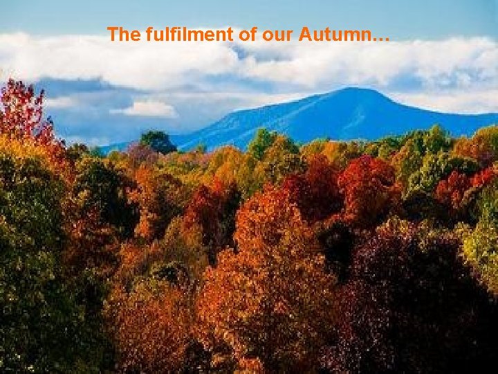 The fulfilment of our Autumn… 