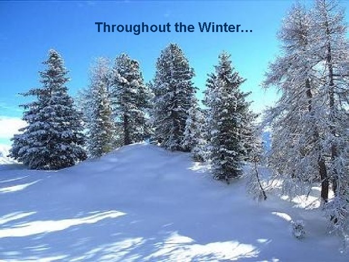 Throughout the Winter… 