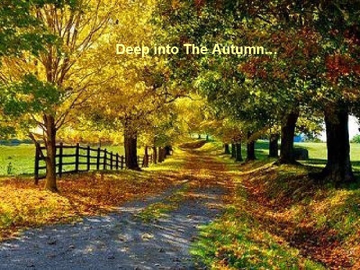 Deep into The Autumn… 