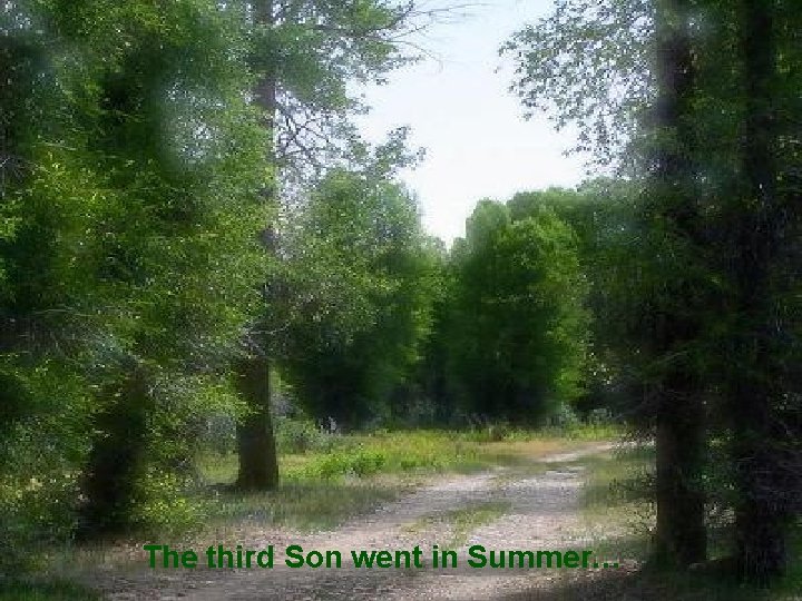 The third Son went in Summer… 