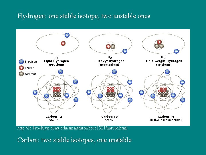 Hydrogen: one stable isotope, two unstable ones http: //lc. brooklyn. cuny. edu/smarttutor/corc 1321/nature. html