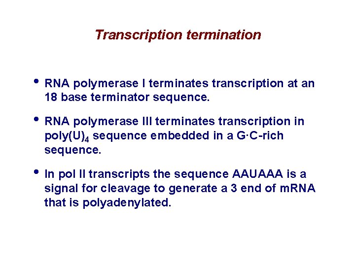 Transcription termination • RNA polymerase I terminates transcription at an 18 base terminator sequence.