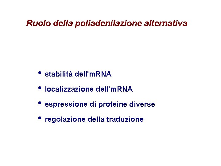 Ruolo della poliadenilazione alternativa • stabilità dell'm. RNA • localizzazione dell'm. RNA • espressione