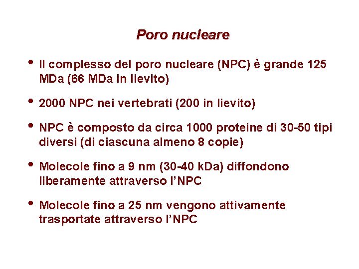 Poro nucleare • Il complesso del poro nucleare (NPC) è grande 125 MDa (66
