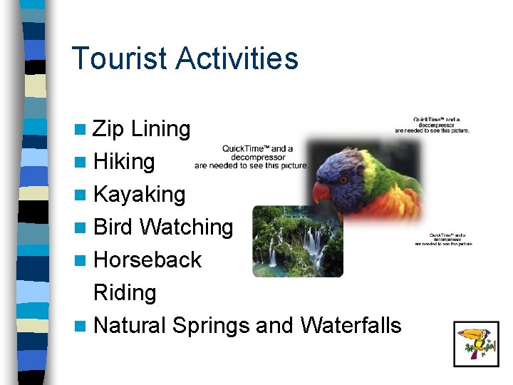 Tourist Activities n Zip Lining n Hiking n Kayaking n Bird Watching n Horseback