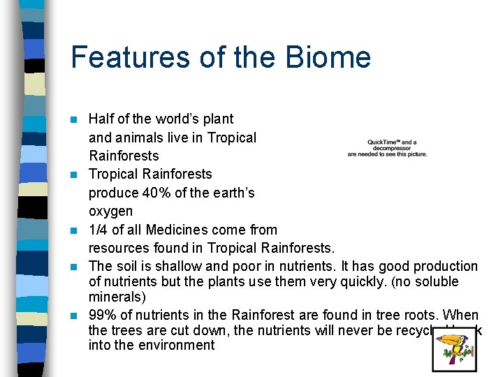 Features of the Biome n n n Half of the world’s plant and animals