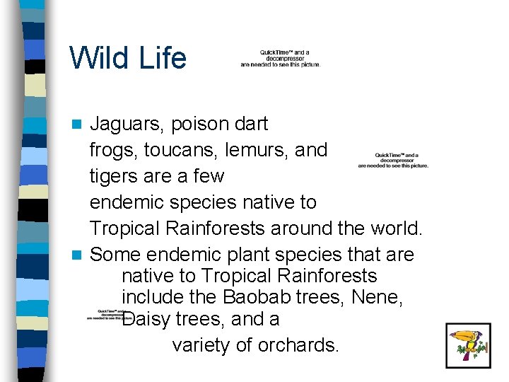 Wild Life Jaguars, poison dart frogs, toucans, lemurs, and tigers are a few endemic