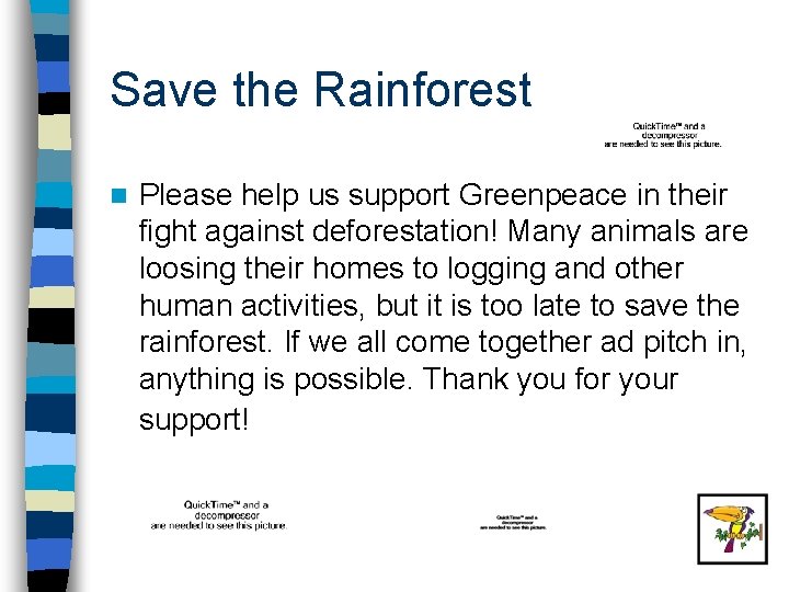 Save the Rainforest n Please help us support Greenpeace in their fight against deforestation!