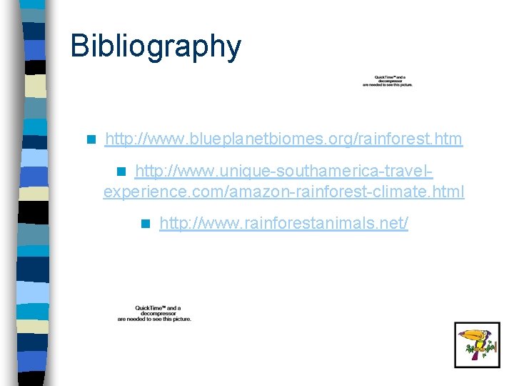 Bibliography n http: //www. blueplanetbiomes. org/rainforest. htm http: //www. unique-southamerica-travelexperience. com/amazon-rainforest-climate. html n n