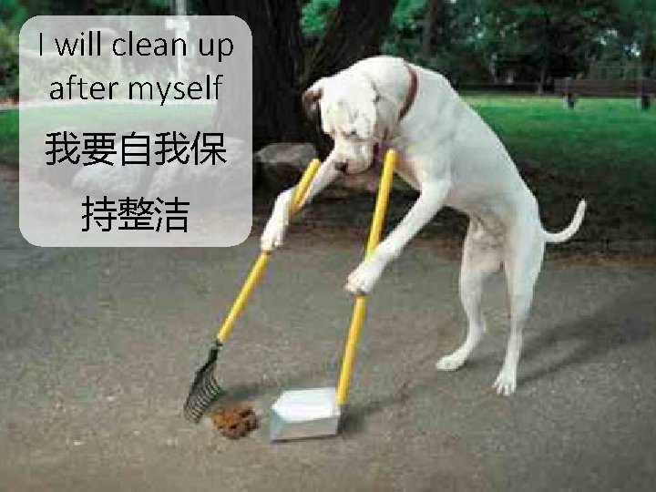 I will clean up after myself 我要自我保 持整洁 