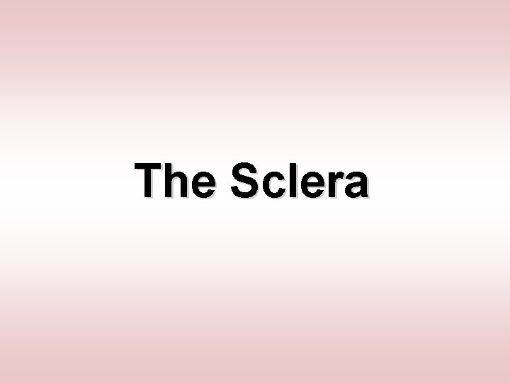 The Sclera 