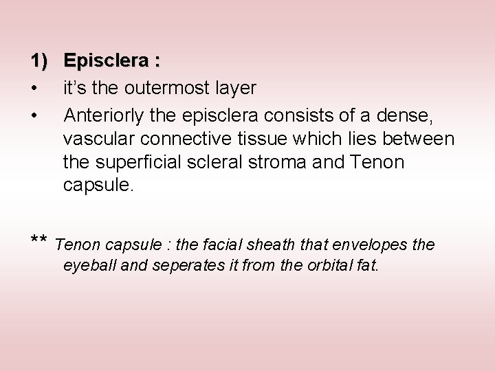 1) Episclera : • it’s the outermost layer • Anteriorly the episclera consists of
