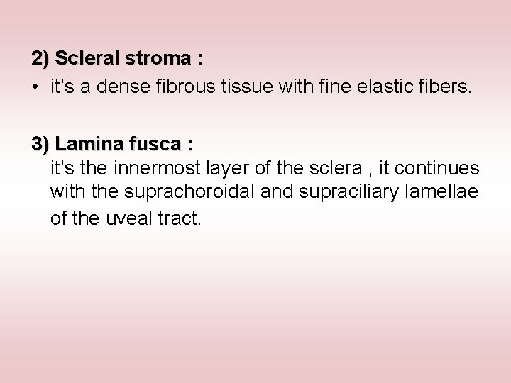 2) Scleral stroma : • it’s a dense fibrous tissue with fine elastic fibers.