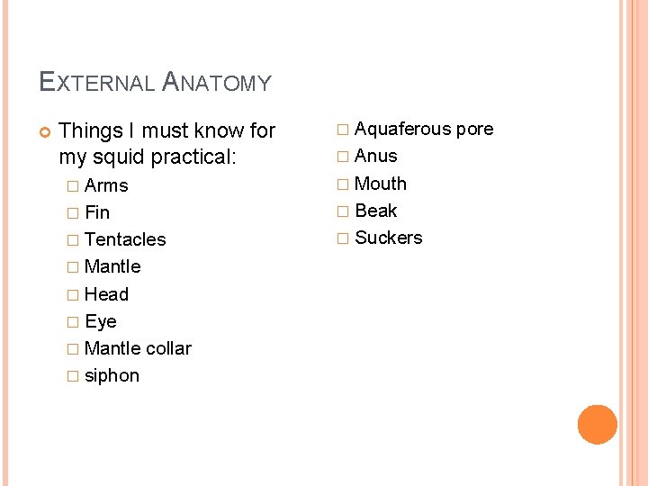 EXTERNAL ANATOMY Things I must know for my squid practical: � Aquaferous � Anus