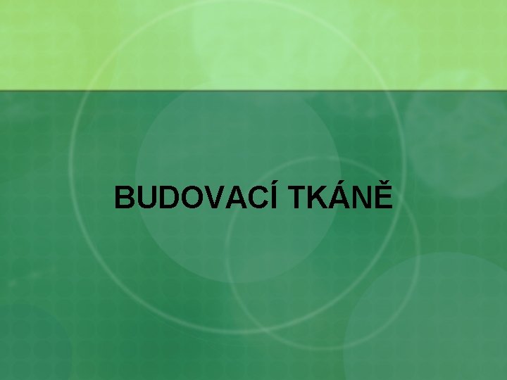 BUDOVACÍ TKÁNĚ 