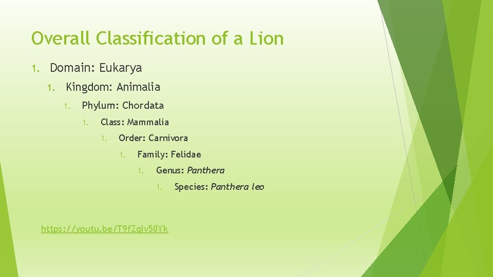 Overall Classification of a Lion 1. Domain: Eukarya 1. Kingdom: Animalia 1. Phylum: Chordata