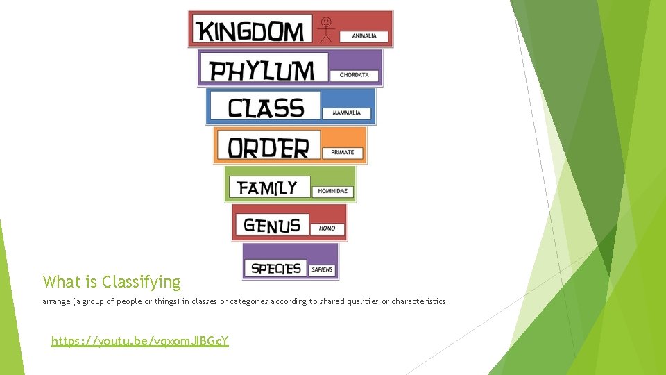 What is Classifying arrange (a group of people or things) in classes or categories