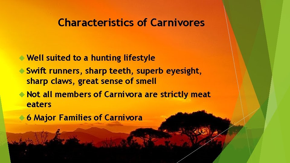 Characteristics of Carnivores Well suited to a hunting lifestyle Swift runners, sharp teeth, superb