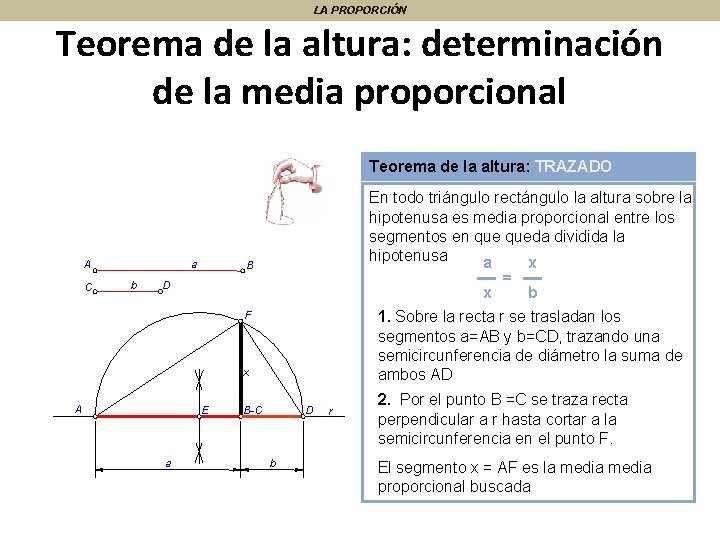 LA PROPORCIÓN Teorema de la altura: determinación de la media proporcional Teorema de la