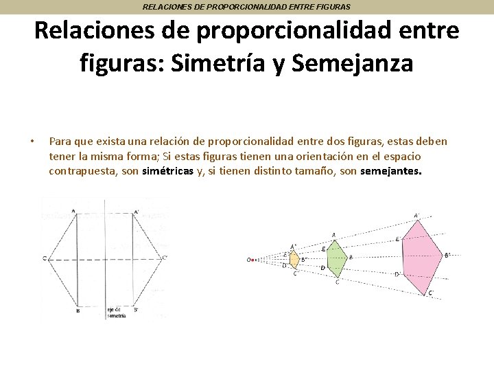 RELACIONES DE PROPORCIONALIDAD ENTRE FIGURAS Relaciones de proporcionalidad entre figuras: Simetría y Semejanza •