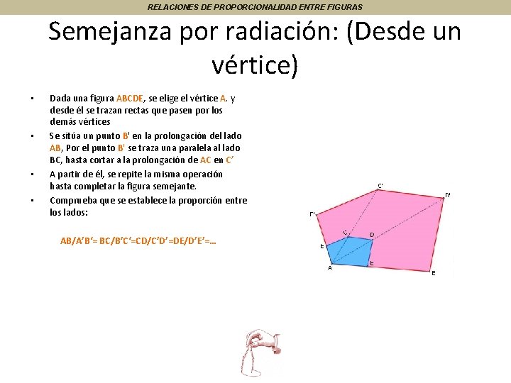 RELACIONES DE PROPORCIONALIDAD ENTRE FIGURAS Semejanza por radiación: (Desde un vértice) • • Dada