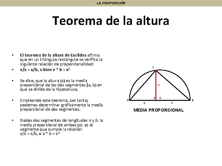 LA PROPORCIÓN Teorema de la altura • • • El teorema de la altura