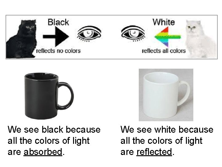 We see black because all the colors of light are absorbed. We see white