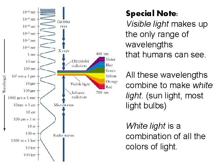 Special Note: Visible light makes up the only range of wavelengths that humans can
